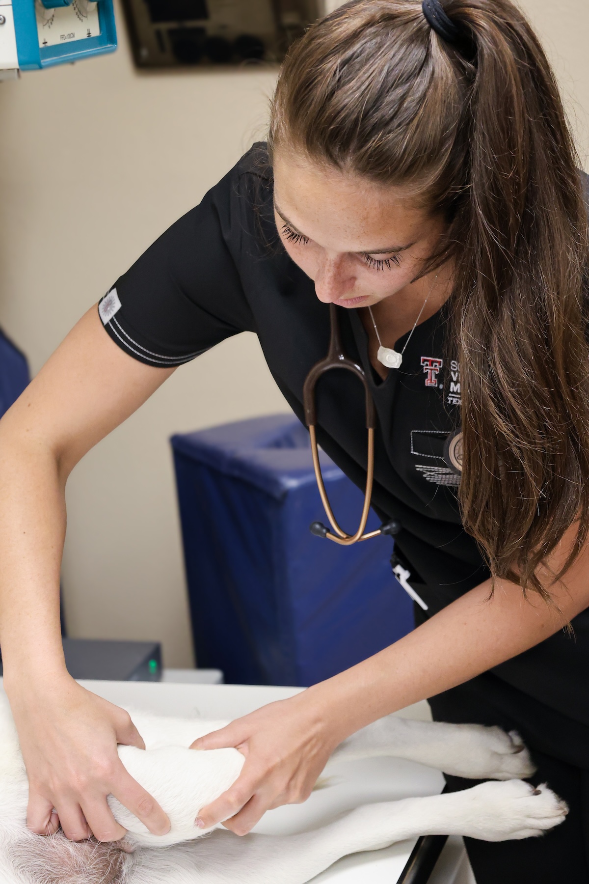 Doctor doing knee exam