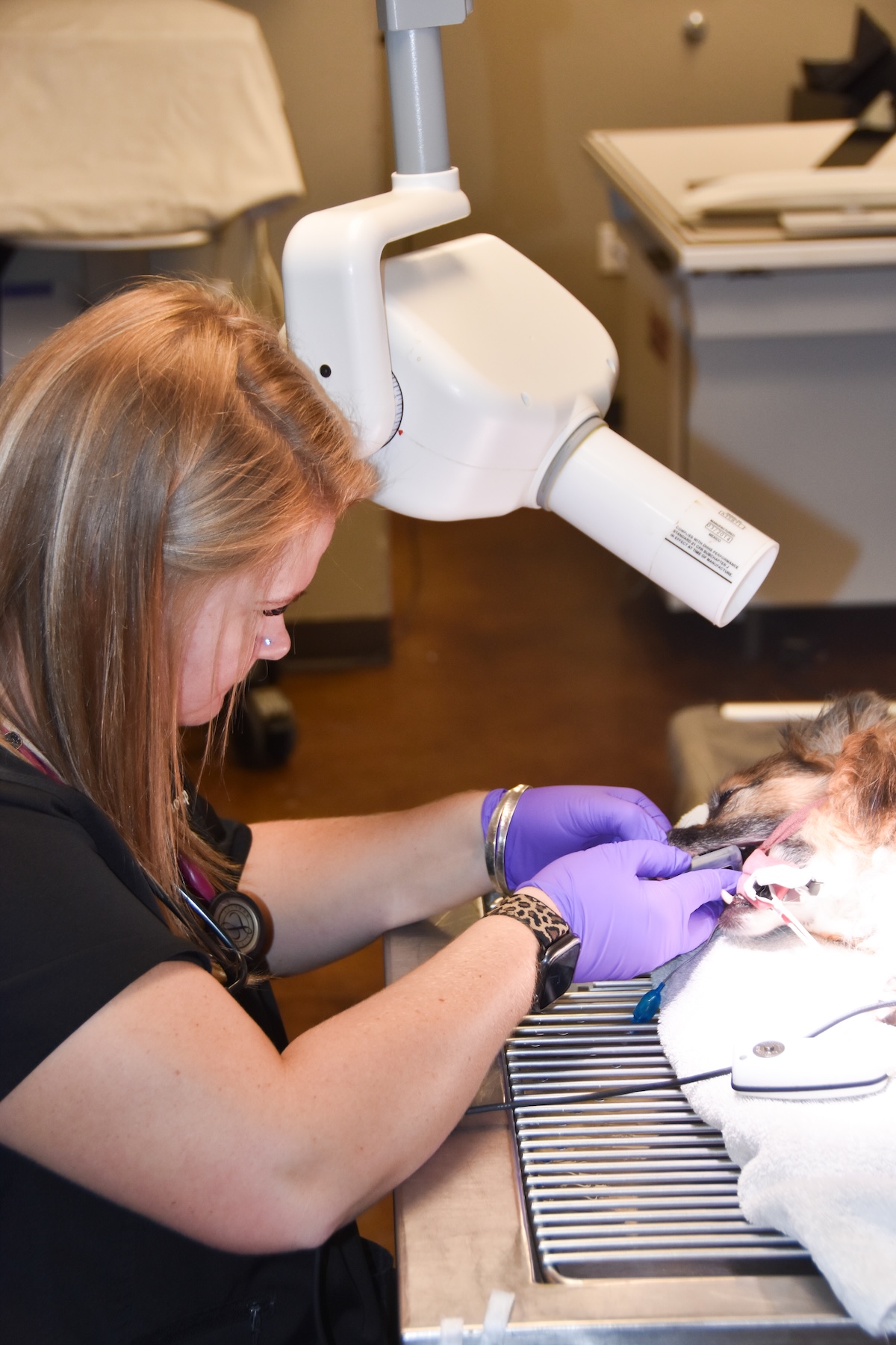 Dental xrays