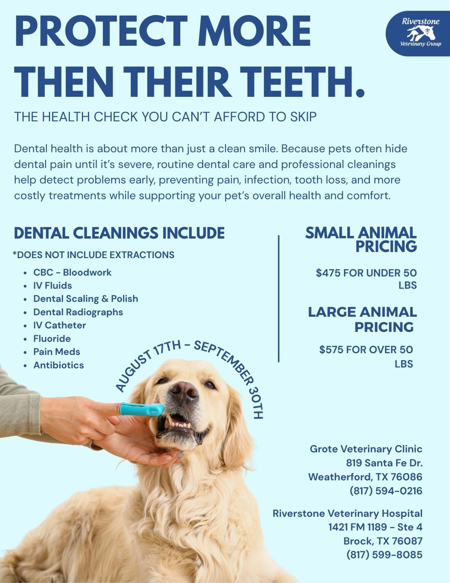 Dental Promo