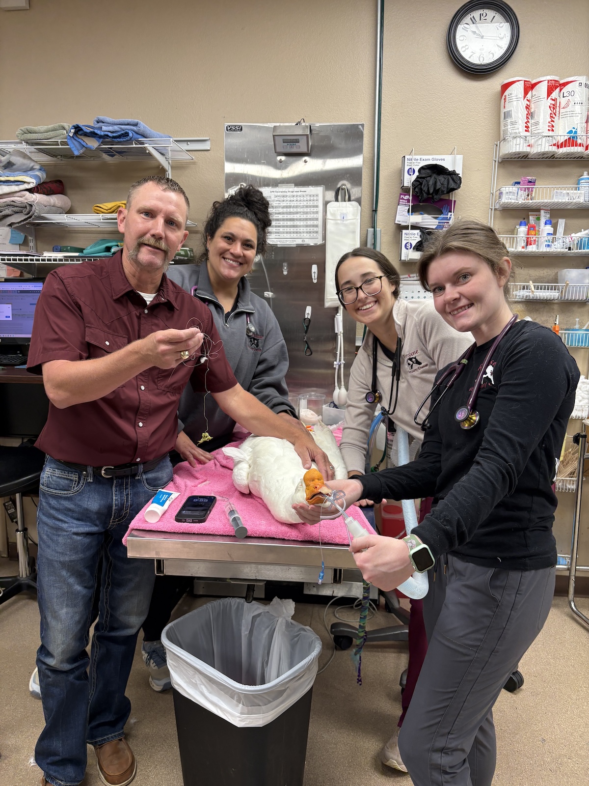 Goose Surgery 
