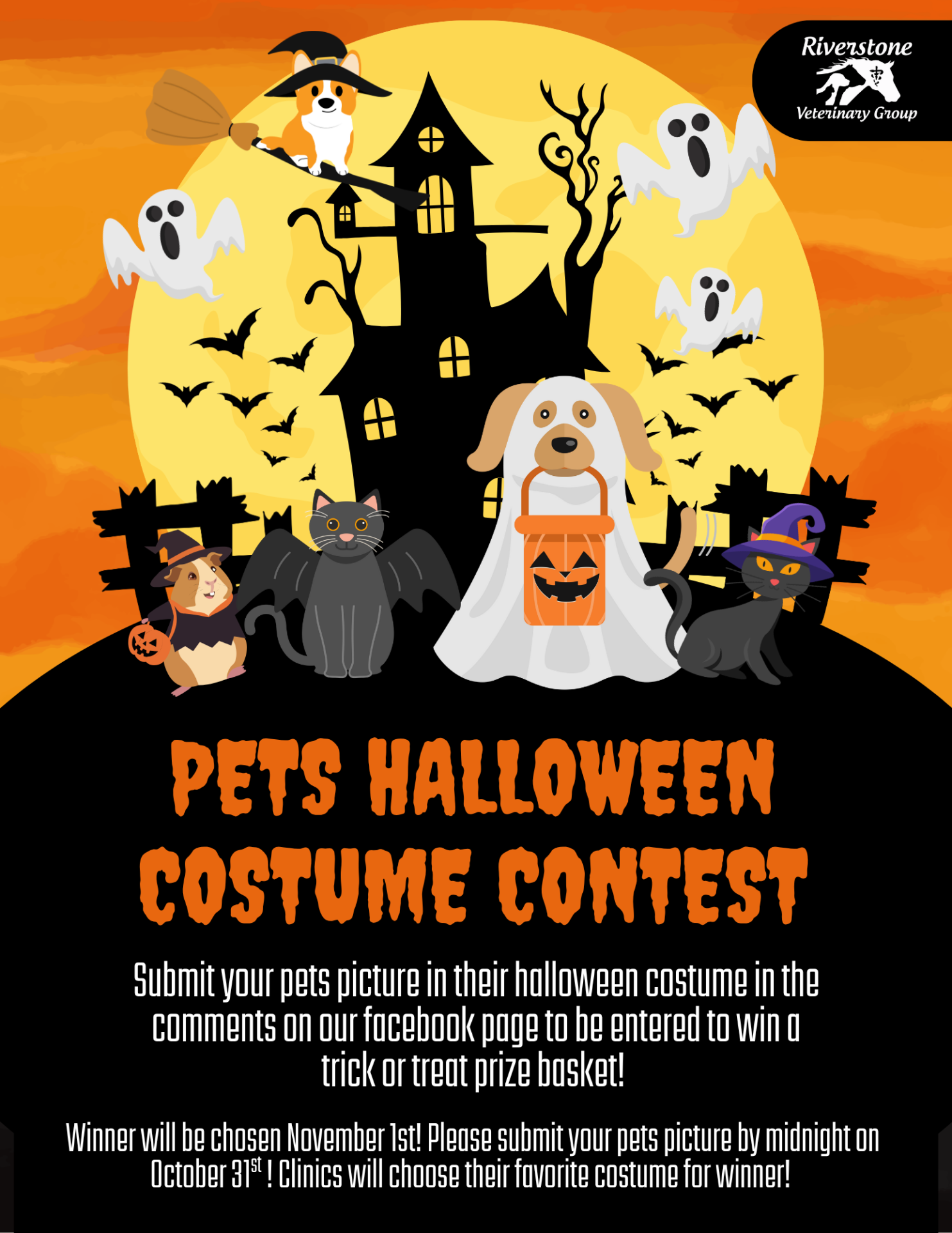 Pets Halloween