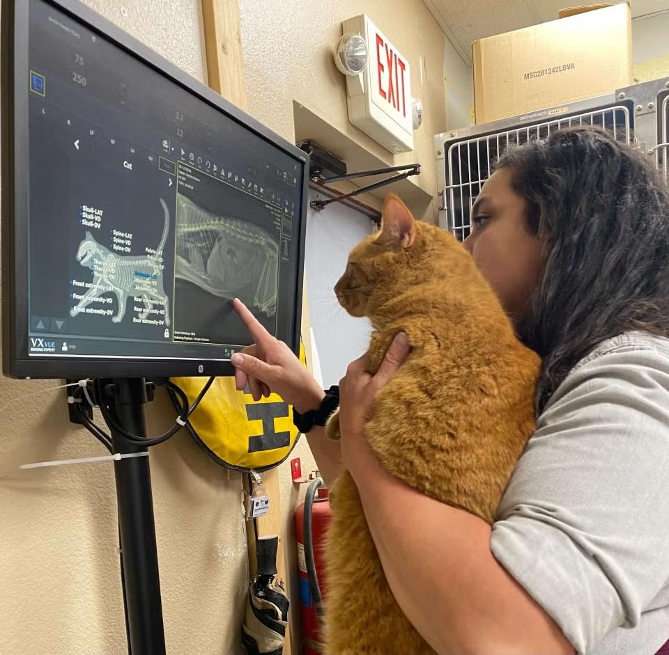 Dr Solomon holding Cat